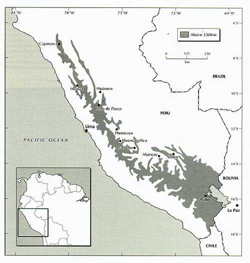 Figura 5.jpg (29355 bytes)